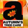 Autumn Tree Care